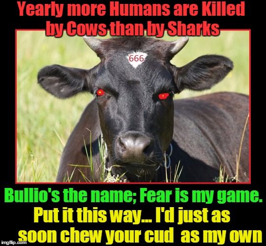 Fear the Red Eye Cow! | Yearly more Humans are Killed by Cows than by Sharks; Bullio's the name; Fear is my game. Put it this way... I'd just as     soon chew your cud  as my own | image tagged in 666,vince vance,mean cows,evil cows,cows kill more people than sharks | made w/ Imgflip meme maker