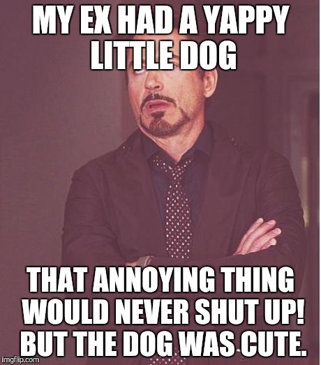 Wait for it... you'll get it eventually... | MY EX HAD A YAPPY LITTLE DOG; THAT ANNOYING THING WOULD NEVER SHUT UP! BUT THE DOG WAS CUTE. | image tagged in memes,face you make robert downey jr,ex girlfriend,shut up,hahahaha | made w/ Imgflip meme maker