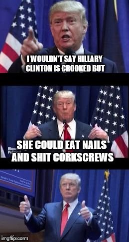 This is Yugge | I WOULDN'T SAY HILLARY CLINTON IS CROOKED BUT; SHE COULD EAT NAILS AND SHIT CORKSCREWS | image tagged in let's make a deal trump | made w/ Imgflip meme maker