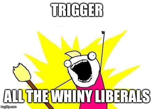 X All The Y Meme | TRIGGER ALL THE WHINY LIBERALS | image tagged in memes,x all the y | made w/ Imgflip meme maker