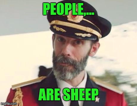  Captain obvious | PEOPLE,... ARE SHEEP | image tagged in captain obvious | made w/ Imgflip meme maker