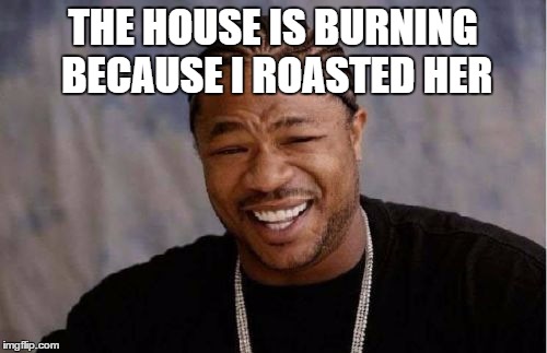 THE HOUSE IS BURNING BECAUSE I ROASTED HER | image tagged in memes,yo dawg heard you | made w/ Imgflip meme maker