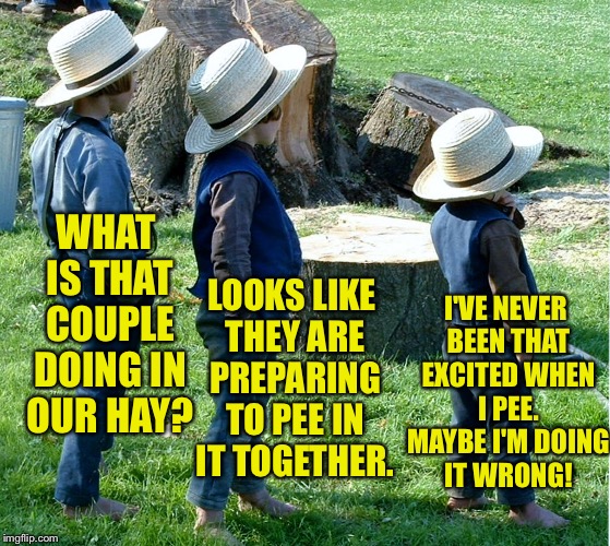 When you see the facts correctly but draw the wrong conclusion. | WHAT IS THAT COUPLE DOING IN OUR HAY? LOOKS LIKE THEY ARE PREPARING TO PEE IN IT TOGETHER. I'VE NEVER BEEN THAT EXCITED WHEN I PEE. MAYBE I'M DOING IT WRONG! | image tagged in memes,amish boys,couple in hay,pee | made w/ Imgflip meme maker