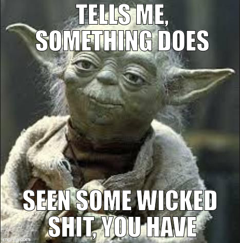 this is why we can't have nice things yoda | TELLS ME, SOMETHING DOES SEEN SOME WICKED SHIT, YOU HAVE | image tagged in this is why we can't have nice things yoda | made w/ Imgflip meme maker