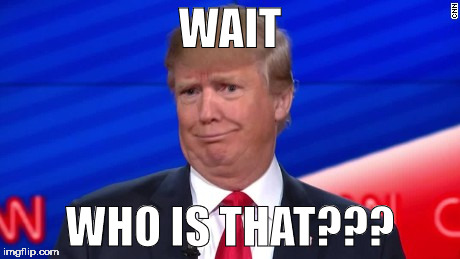 Trump Wut | WAIT WHO IS THAT??? | image tagged in trump wut | made w/ Imgflip meme maker