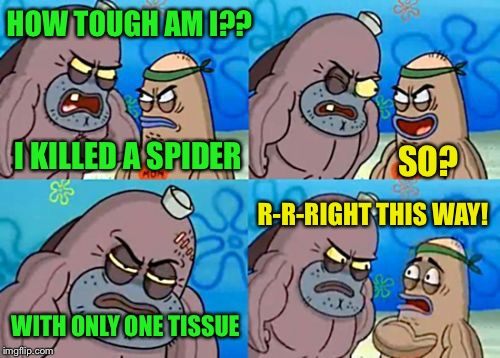 How Tough Are You | HOW TOUGH AM I?? I KILLED A SPIDER; SO? R-R-RIGHT THIS WAY! WITH ONLY ONE TISSUE | image tagged in memes,how tough are you | made w/ Imgflip meme maker