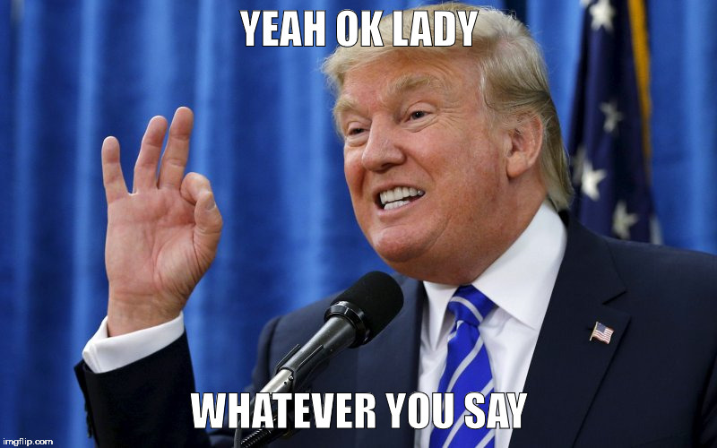 Trump OK | YEAH OK LADY WHATEVER YOU SAY | image tagged in trump ok | made w/ Imgflip meme maker