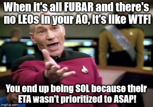 Picard Wtf Meme | When it's all FUBAR and there's no LEOs in your AO, it's like WTF! You end up being SOL because their ETA wasn't prioritized to ASAP! | image tagged in memes,picard wtf | made w/ Imgflip meme maker