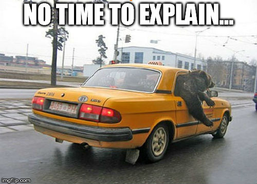 Bear Taxi | NO TIME TO EXPLAIN... | image tagged in bear | made w/ Imgflip meme maker