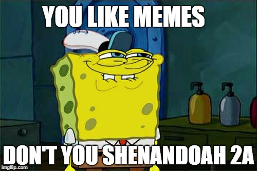 Don't You Squidward | YOU LIKE MEMES; DON'T YOU SHENANDOAH 2A | image tagged in memes,dont you squidward | made w/ Imgflip meme maker