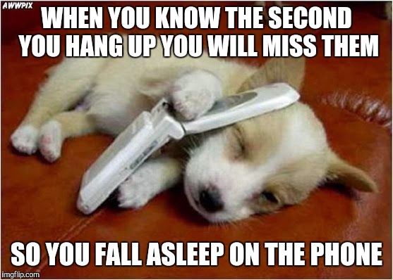 DogPhone | WHEN YOU KNOW THE SECOND YOU HANG UP YOU WILL MISS THEM; SO YOU FALL ASLEEP ON THE PHONE | image tagged in dogphone | made w/ Imgflip meme maker