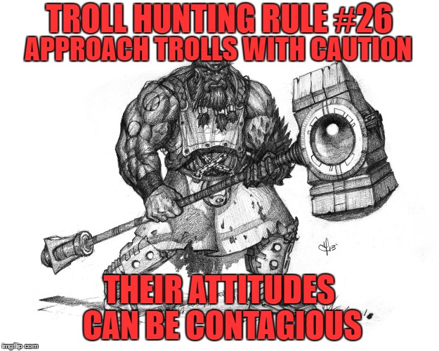 Troll Hunting Rule #26 | TROLL HUNTING RULE #26; APPROACH TROLLS WITH CAUTION; THEIR ATTITUDES CAN BE CONTAGIOUS | image tagged in troll smasher | made w/ Imgflip meme maker
