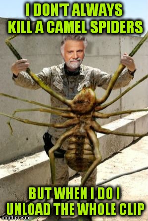 I DON'T ALWAYS KILL A CAMEL SPIDERS BUT WHEN I DO I UNLOAD THE WHOLE CLIP | made w/ Imgflip meme maker