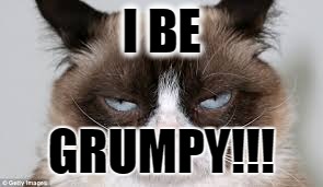 I BE GRUMP4DAYZ |  I BE; GRUMPY!!! | image tagged in grumpy cat | made w/ Imgflip meme maker