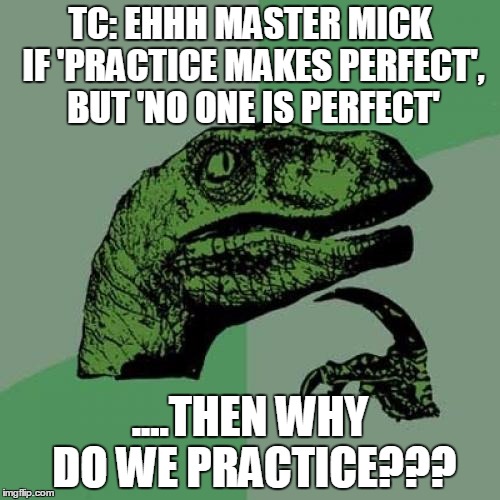 Philosoraptor | TC: EHHH MASTER MICK IF 'PRACTICE MAKES PERFECT', BUT 'NO ONE IS PERFECT'; ....THEN WHY DO WE PRACTICE??? | image tagged in memes,philosoraptor | made w/ Imgflip meme maker