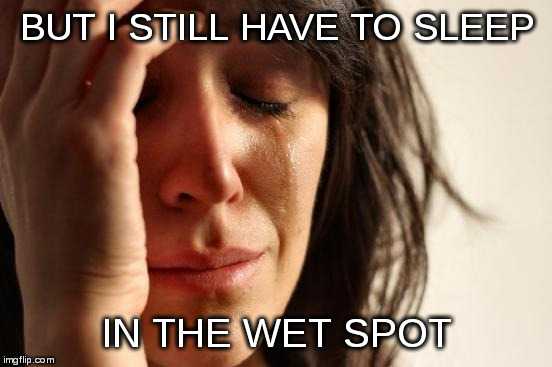 I would "go it alone" | BUT I STILL HAVE TO SLEEP; IN THE WET SPOT | image tagged in memes,first world problems | made w/ Imgflip meme maker