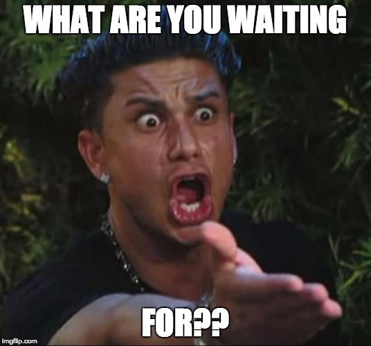 DJ Pauly D Meme | WHAT ARE YOU WAITING; FOR?? | image tagged in memes,dj pauly d | made w/ Imgflip meme maker