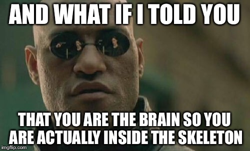 Matrix Morpheus Meme | AND WHAT IF I TOLD YOU THAT YOU ARE THE BRAIN SO YOU ARE ACTUALLY INSIDE THE SKELETON | image tagged in memes,matrix morpheus | made w/ Imgflip meme maker