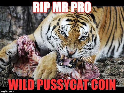 RIP MR PRO; WILD PUSSYCAT COIN | made w/ Imgflip meme maker