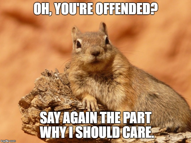 Social Expectations Squirrel has no time for your bs. | OH, YOU'RE OFFENDED? SAY AGAIN THE PART WHY I SHOULD CARE. | image tagged in memes,social expectations squirrel,funny,relatable,stupid liberals,offended | made w/ Imgflip meme maker