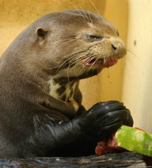 Disgusted Otter Blank Meme Template