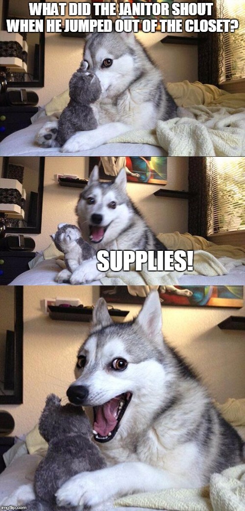 A Good Clean Joke | WHAT DID THE JANITOR SHOUT WHEN HE JUMPED OUT OF THE CLOSET? SUPPLIES! | image tagged in memes,bad pun dog,funny,jokes,janitors | made w/ Imgflip meme maker