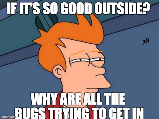 Futurama Fry | IF IT'S SO GOOD OUTSIDE? WHY ARE ALL THE BUGS TRYING TO GET IN | image tagged in memes,futurama fry | made w/ Imgflip meme maker
