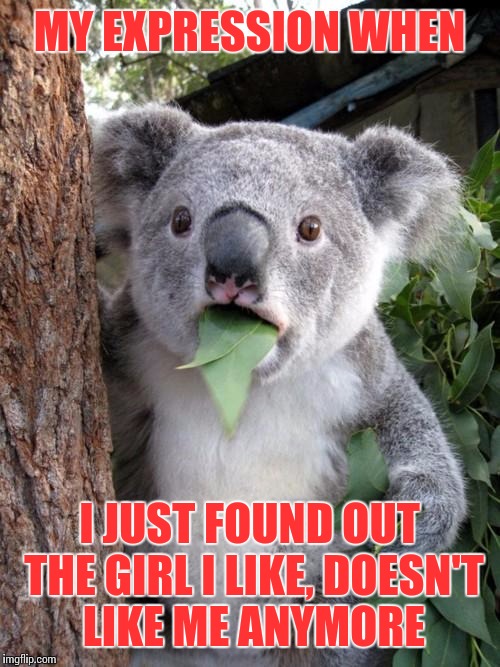 Surprised Koala | MY EXPRESSION WHEN; I JUST FOUND OUT THE GIRL I LIKE, DOESN'T LIKE ME ANYMORE | image tagged in memes,surprised koala | made w/ Imgflip meme maker