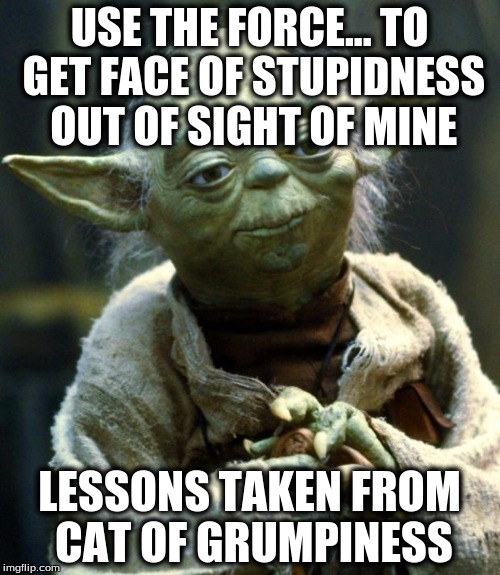 Yoda Took Lessons from Grumpy Cat | USE THE FORCE... TO GET FACE OF STUPIDNESS OUT OF SIGHT OF MINE; LESSONS TAKEN FROM CAT OF GRUMPINESS | image tagged in memes,star wars yoda | made w/ Imgflip meme maker