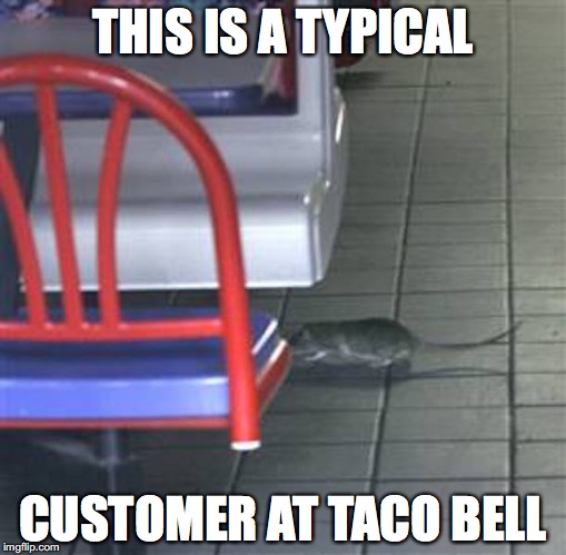 Customer at Taco Bell | THIS IS A TYPICAL; CUSTOMER AT TACO BELL | image tagged in taco bell,rat,memes | made w/ Imgflip meme maker