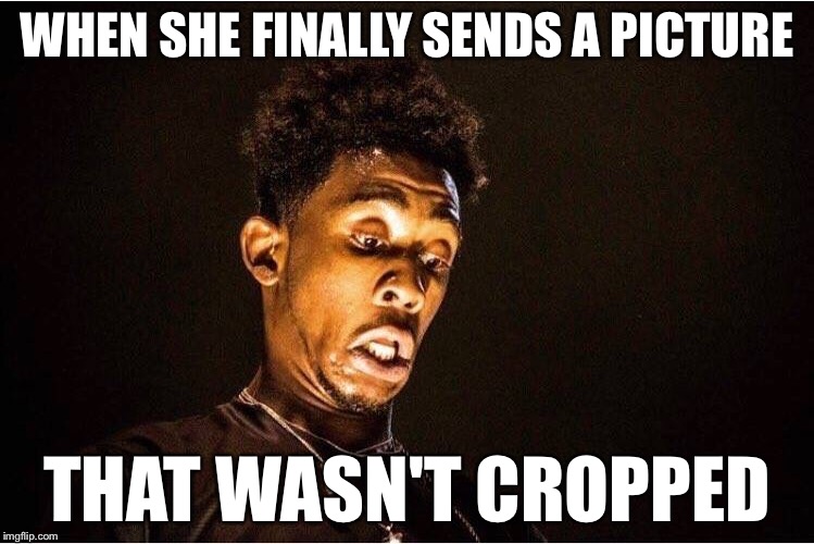What the? | WHEN SHE FINALLY SENDS A PICTURE; THAT WASN'T CROPPED | image tagged in memes,lies,photoshop,fat bastard,funny,texting | made w/ Imgflip meme maker