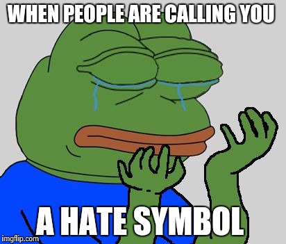 pepe cry | WHEN PEOPLE ARE CALLING YOU; A HATE SYMBOL | image tagged in pepe cry | made w/ Imgflip meme maker