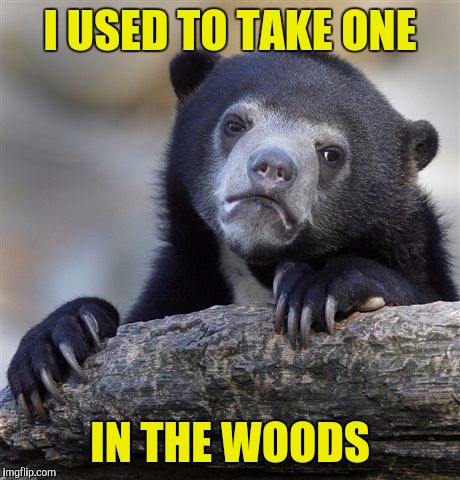 Confession Bear Meme | I USED TO TAKE ONE IN THE WOODS | image tagged in memes,confession bear | made w/ Imgflip meme maker