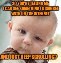 Skeptical Baby | SO YOU'RE TELLING ME I CAN SEE SOMETHING I DISAGREE WITH ON THE INTERNET; AND JUST KEEP SCROLLING? | image tagged in memes,skeptical baby | made w/ Imgflip meme maker