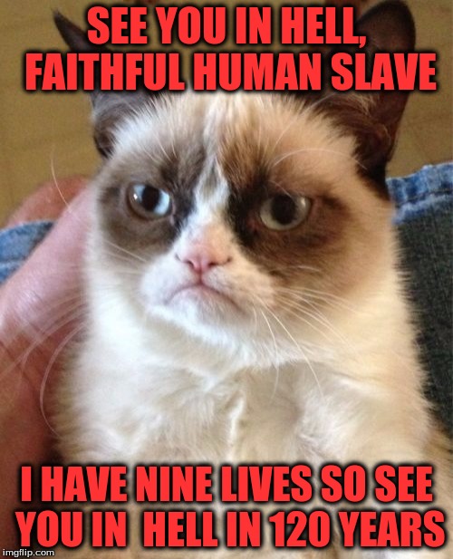 Grumpy Cat's Nine Lives | SEE YOU IN HELL, FAITHFUL HUMAN SLAVE; I HAVE NINE LIVES SO SEE YOU IN  HELL IN 120 YEARS | image tagged in memes,grumpy cat | made w/ Imgflip meme maker