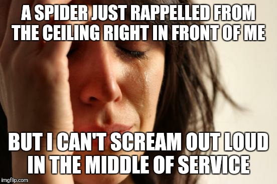 Preacher's Kid Problem #74 | A SPIDER JUST RAPPELLED FROM THE CEILING RIGHT IN FRONT OF ME; BUT I CAN'T SCREAM OUT LOUD IN THE MIDDLE OF SERVICE | image tagged in memes,first world problems | made w/ Imgflip meme maker