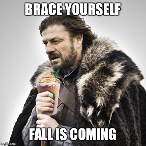Basic Ned | BRACE YOURSELF; FALL IS COMING | image tagged in basic ned | made w/ Imgflip meme maker