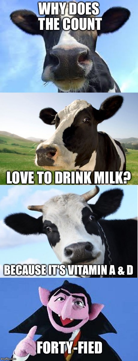 WHY DOES THE COUNT; LOVE TO DRINK MILK? BECAUSE IT'S VITAMIN A & D; FORTY-FIED | image tagged in bad pun cow,bad pun count,original memes,memes,funny | made w/ Imgflip meme maker