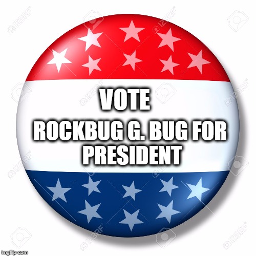 Blank for president | VOTE; ROCKBUG G. BUG
FOR PRESIDENT | image tagged in blank for president | made w/ Imgflip meme maker
