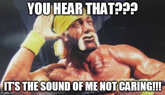Hulk Hogan Ear | YOU HEAR THAT??? IT'S THE SOUND OF ME NOT CARING!!! | image tagged in hulk hogan ear,i don't care,i don't know who are you,i don't give a fuck,get over it,funny memes | made w/ Imgflip meme maker