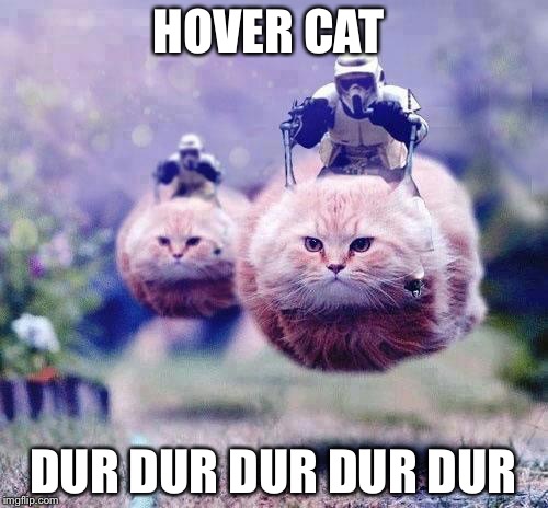 Storm Trooper Cats | HOVER CAT; DUR DUR DUR DUR DUR | image tagged in storm trooper cats | made w/ Imgflip meme maker