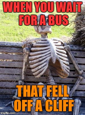 Gee, it's been 7 years and the bus still didn't arrive! Oh wait, it fell off a cliff. | WHEN YOU WAIT FOR A BUS; THAT FELL OFF A CLIFF | image tagged in memes,waiting skeleton | made w/ Imgflip meme maker