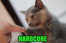 HARDCORE | made w/ Imgflip meme maker