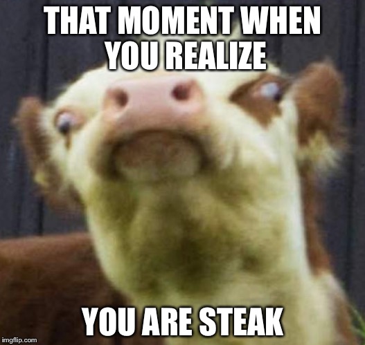 THAT MOMENT WHEN YOU REALIZE; YOU ARE STEAK | image tagged in derpy cow | made w/ Imgflip meme maker