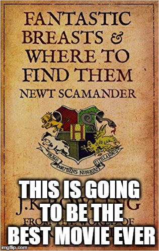 no seriously this movie is going to be huge LOL | THIS IS GOING TO BE THE BEST MOVIE EVER | image tagged in fantastic beasts and where to find them,movies,harry potter | made w/ Imgflip meme maker
