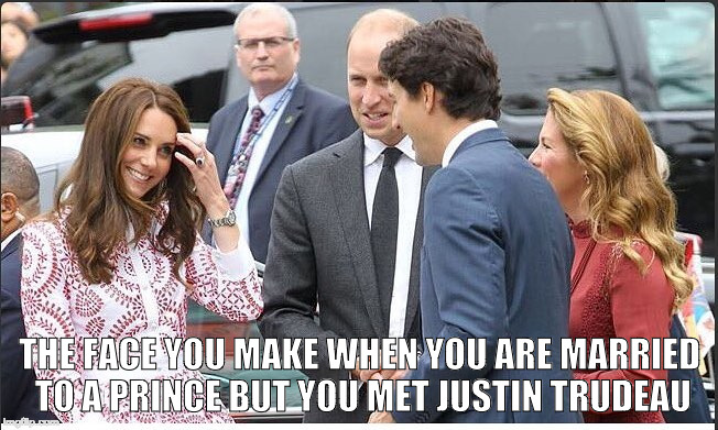THE FACE YOU MAKE WHEN YOU ARE MARRIED TO A PRINCE BUT YOU MET JUSTIN TRUDEAU | image tagged in the face you make | made w/ Imgflip meme maker