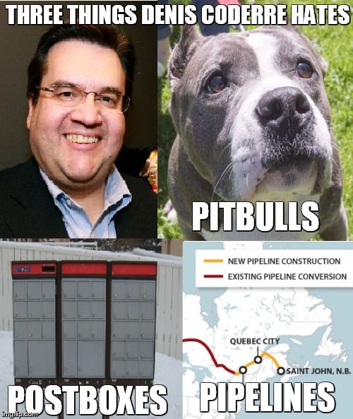 Mayor of Montreal Denis Coderre | THREE THINGS DENIS CODERRE HATES; PITBULLS; PIPELINES; POSTBOXES | image tagged in pitbull,post office,pipeline,montreal,meme,asshole | made w/ Imgflip meme maker