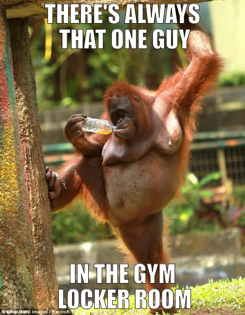 sexy orangutan | THERE'S ALWAYS THAT ONE GUY; IN THE GYM LOCKER ROOM | image tagged in sexy orangutan | made w/ Imgflip meme maker