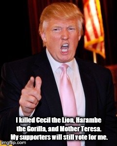 Donald Trump | I killed Cecil the Lion, Harambe the Gorilla, and Mother Teresa. My supporters will still vote for me. | image tagged in donald trump | made w/ Imgflip meme maker