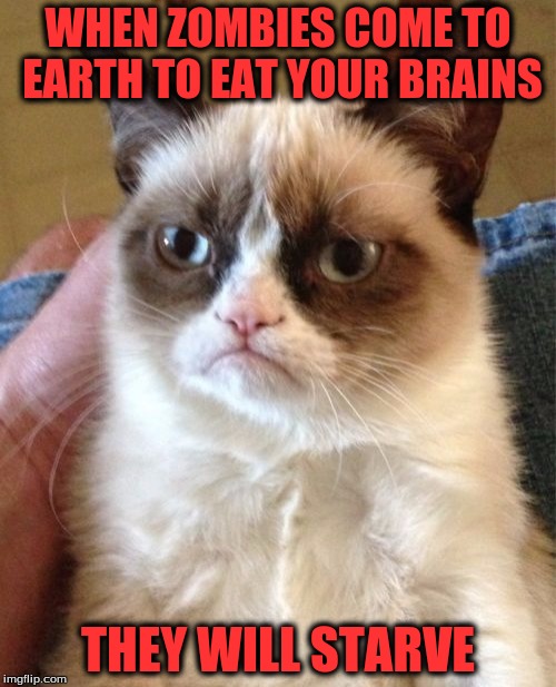 Grumpy Cat's Theory on the Zombie Apocalypse | WHEN ZOMBIES COME TO EARTH TO EAT YOUR BRAINS; THEY WILL STARVE | image tagged in memes,grumpy cat | made w/ Imgflip meme maker